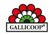 Gallicoop