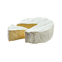SZK Camembert sajt kerek vendéglátós Sajtmester  